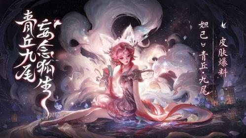 青丘九尾爆料视频大全,视频大全背后的精彩故事